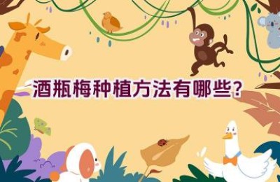 酒瓶梅种植方法有哪些？