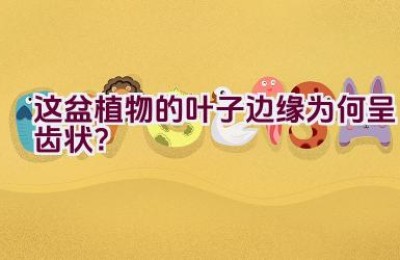 这盆植物的叶子边缘为何呈齿状？