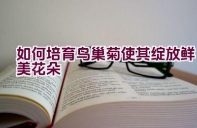 如何培育鸟巢菊使其绽放鲜美花朵