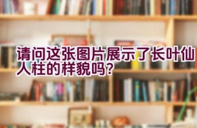 请问这张图片展示了长叶仙人柱的样貌吗？