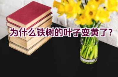 为什么铁树的叶子变黄了？