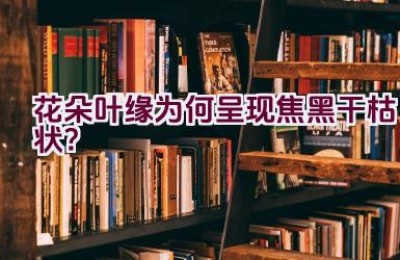 花朵叶缘为何呈现焦黑干枯状？