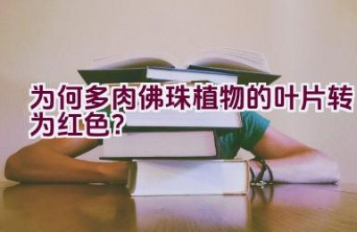 为何多肉佛珠植物的叶片转为红色？
