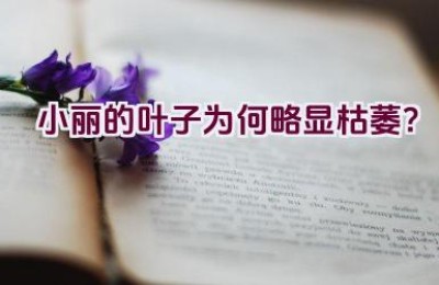 小丽的叶子为何略显枯萎？