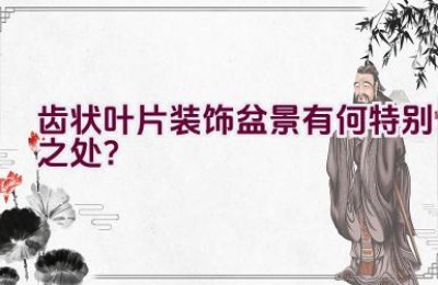 齿状叶片装饰盆景有何特别之处？