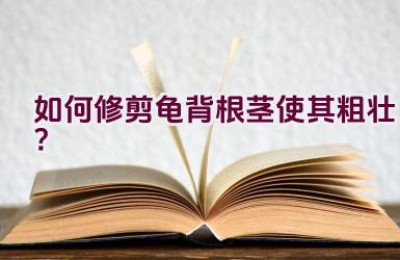 如何修剪龟背根茎使其粗壮？