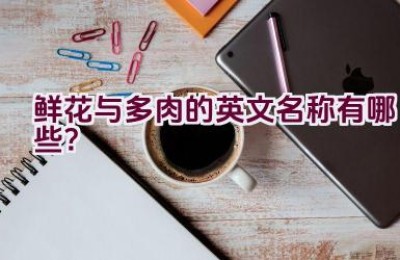 鲜花与多肉的英文名称有哪些？