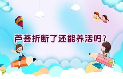 芦荟折断了还能养活吗？