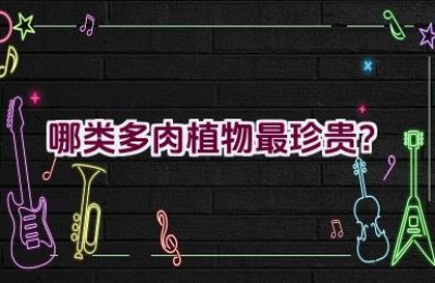 哪类多肉植物最珍贵？