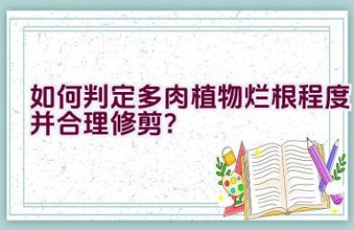 如何判定多肉植物烂根程度并合理修剪？