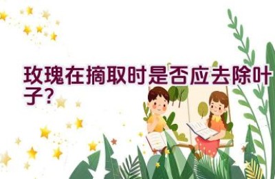 玫瑰在摘取时是否应去除叶子？