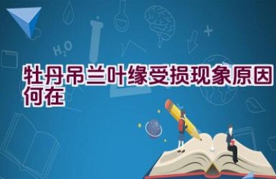 牡丹吊兰叶缘受损现象原因何在