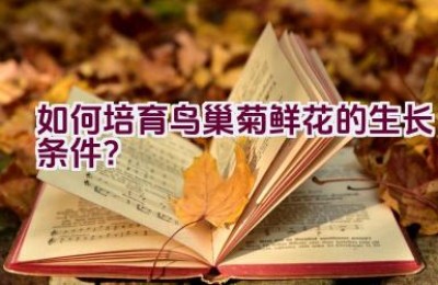 如何培育鸟巢菊鲜花的生长条件？