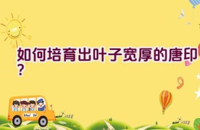 如何培育出叶子宽厚的唐印？