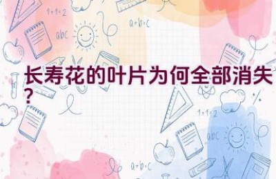 长寿花的叶片为何全部消失？