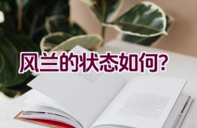风兰的状态如何？
