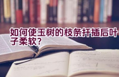如何使玉树的枝条扦插后叶子柔软？