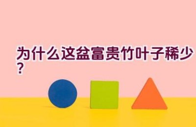 为什么这盆富贵竹叶子稀少？