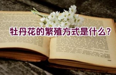 牡丹花的繁殖方式是什么？