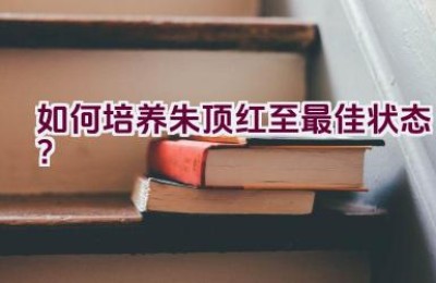 如何培养朱顶红至最佳状态？