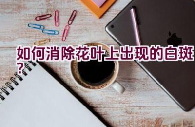 如何消除花叶上出现的白斑？