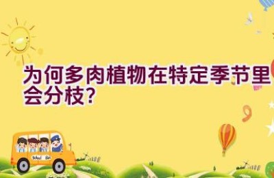 为何多肉植物在特定季节里会分枝？