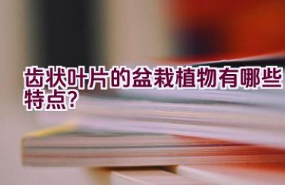 齿状叶片的盆栽植物有哪些特点？