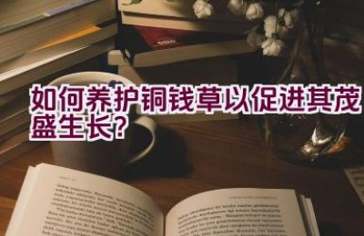 如何养护铜钱草以促进其茂盛生长？