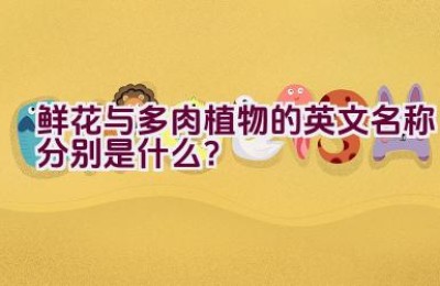 鲜花与多肉植物的英文名称分别是什么？