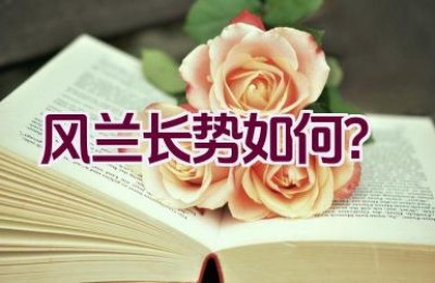 风兰长势如何？