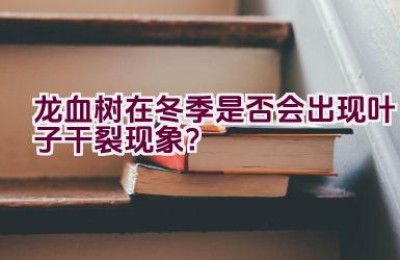 龙血树在冬季是否会出现叶子干裂现象？