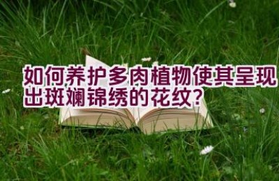 如何养护多肉植物使其呈现出斑斓锦绣的花纹？