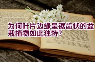 “为何叶片边缘呈锯齿状的盆栽植物如此独特？”