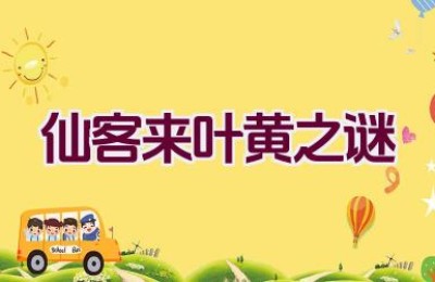 仙客来叶黄之谜