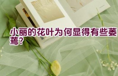 小丽的花叶为何显得有些萎蔫？