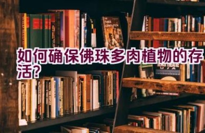 如何确保佛珠多肉植物的存活？