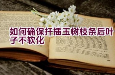 如何确保扦插玉树枝条后叶子不软化