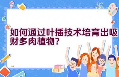 如何通过叶插技术培育出吸财多肉植物？