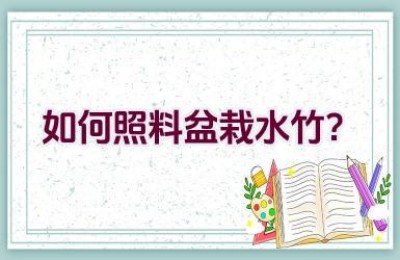 如何照料盆栽水竹？