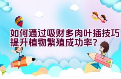 如何通过吸财多肉叶插技巧提升植物繁殖成功率？
