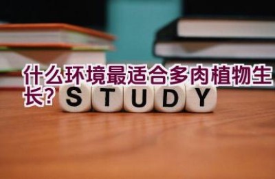 什么环境最适合多肉植物生长？