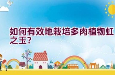 如何有效地栽培多肉植物虹之玉？