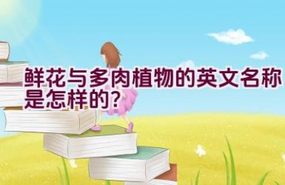 鲜花与多肉植物的英文名称是怎样的？