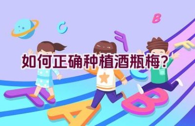 如何正确种植酒瓶梅？
