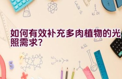 如何有效补充多肉植物的光照需求？