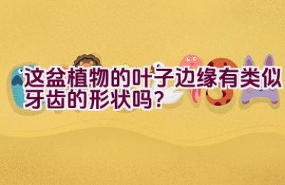 这盆植物的叶子边缘有类似牙齿的形状吗？
