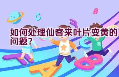 如何处理仙客来叶片变黄的问题？