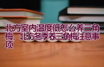 北方室内温度低怎么养三角梅，北方冬季养三角梅注意事项