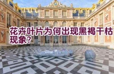 花卉叶片为何出现黑褐干枯现象？