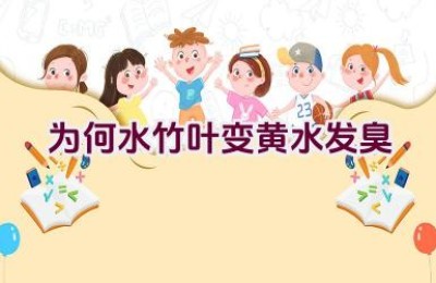 为何水竹叶变黄水发臭